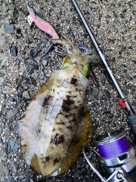 寒波来る前に！