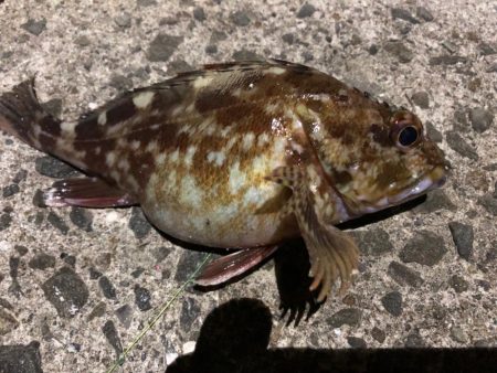 自作ロッドのデビュー戦