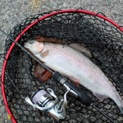 ボトムスプーン強し