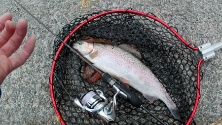 ボトムスプーン強し