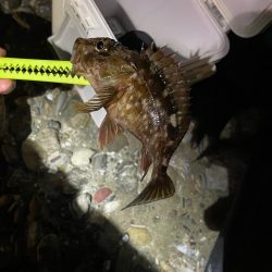 爆風ライトゲーム