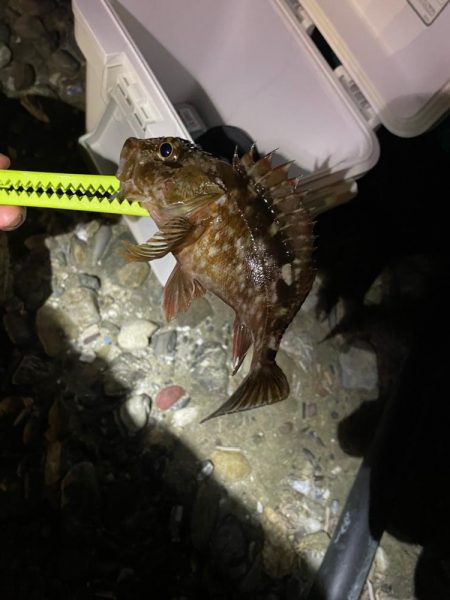 爆風ライトゲーム