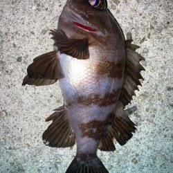 2023ライトゲーム第46戦