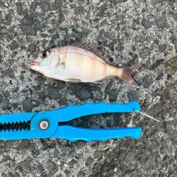 ぽかぽかフィッシング