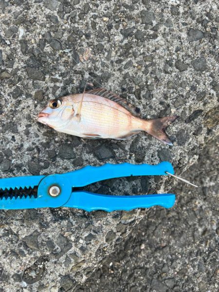 ぽかぽかフィッシング