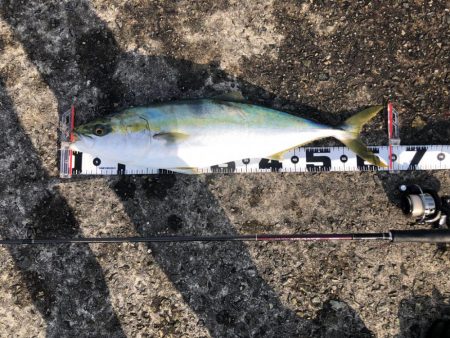 ライトすぎるタックルでも飲ませ成功!