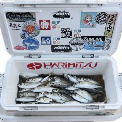 アジ/サビキ釣り