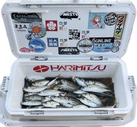 アジ/サビキ釣り