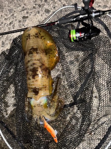 良い形連発その後災難