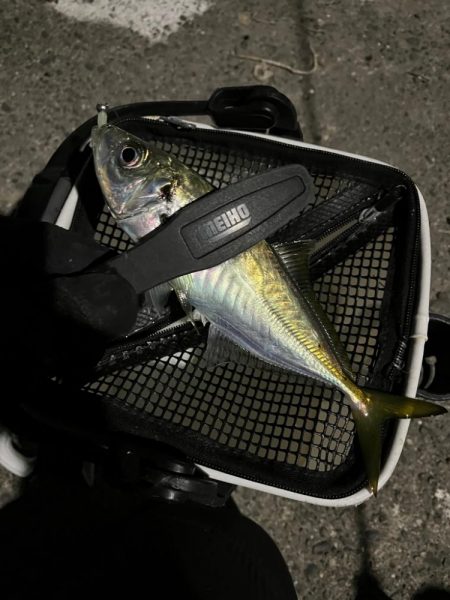 釣り納め・・られず