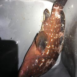 父への誕生日プレゼント