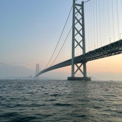 年の瀬　青物　ノマセ釣り