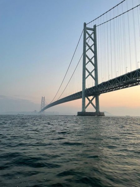 年の瀬　青物　ノマセ釣り