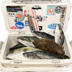 メジロ・ヒラメ・サゴシ/ノマセ・ジギング