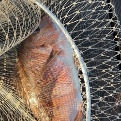 爆風すぎて大変…