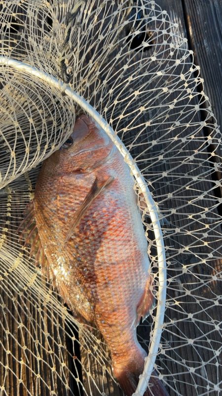 爆風すぎて大変…