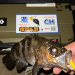 短時間メバリング