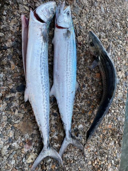 激闘の二連戦！