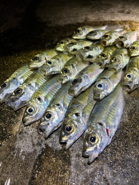 ここにはアジある