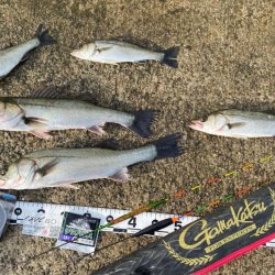 釣り始めは小雨が降り