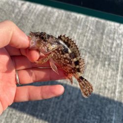 帰省途中の癒し