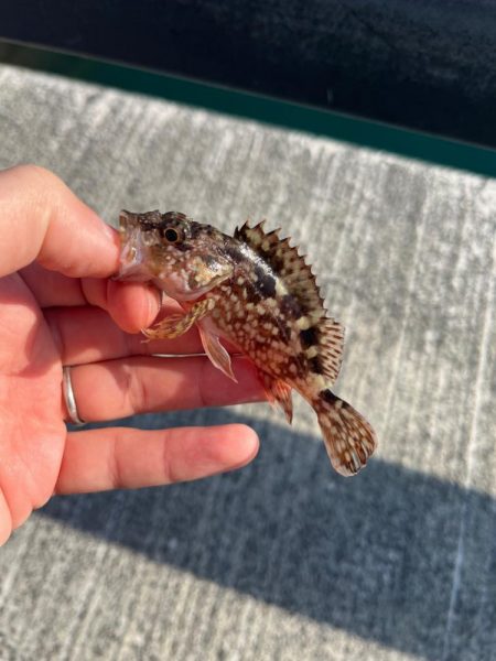 帰省途中の癒し