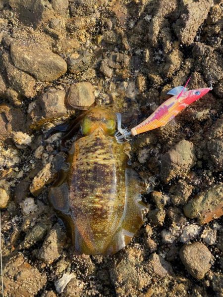 冬のキロオーバーが釣りたかったのにね。。