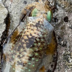 本年最後の調査❗️