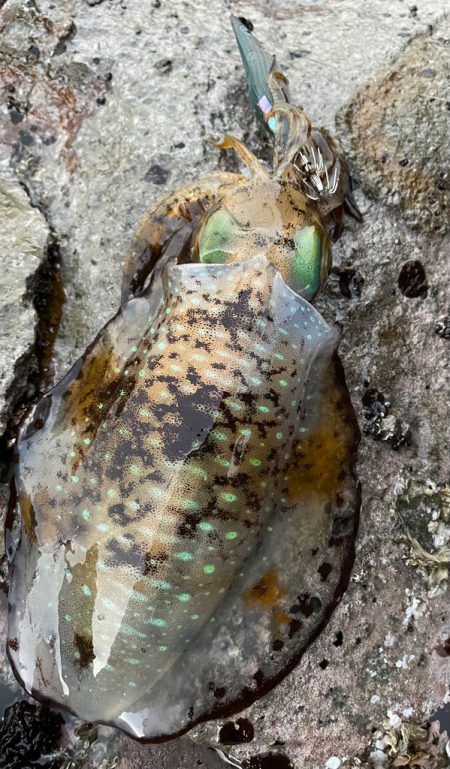 本年最後の調査❗️