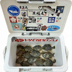 カワハギ/カワハギ仕掛け