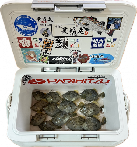 カワハギ/カワハギ仕掛け