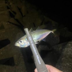 フロートアジング