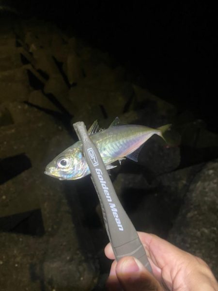 フロートアジング