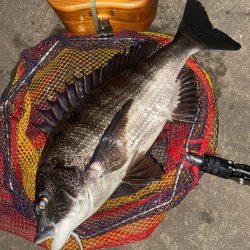 ヘチってきました