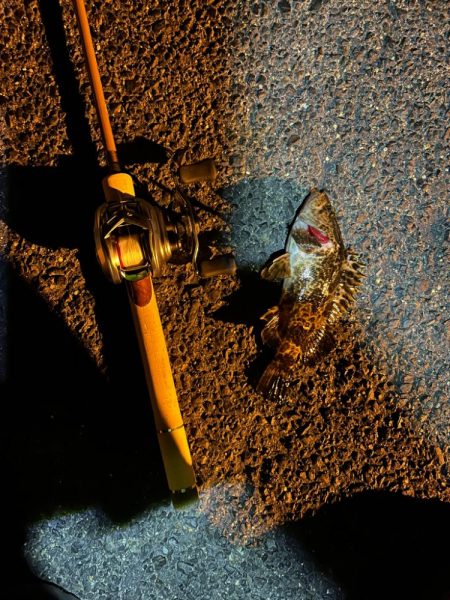 冬の朝のライトゲーム