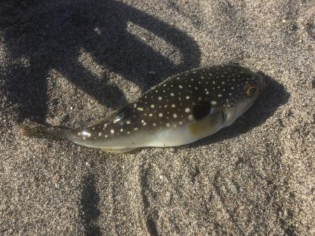 釣り納め　福を呼ぶ
