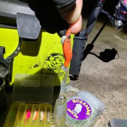 ヒイカ釣り🎣(^.^)