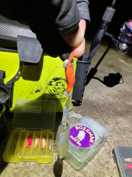 ヒイカ釣り🎣(^.^)