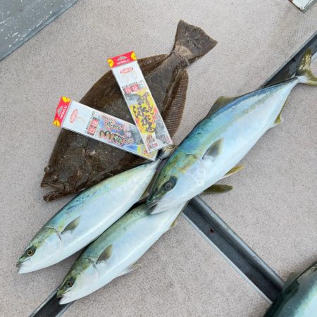 メジロ・ハマチ・ヒラメ/ノマセ・ジギング