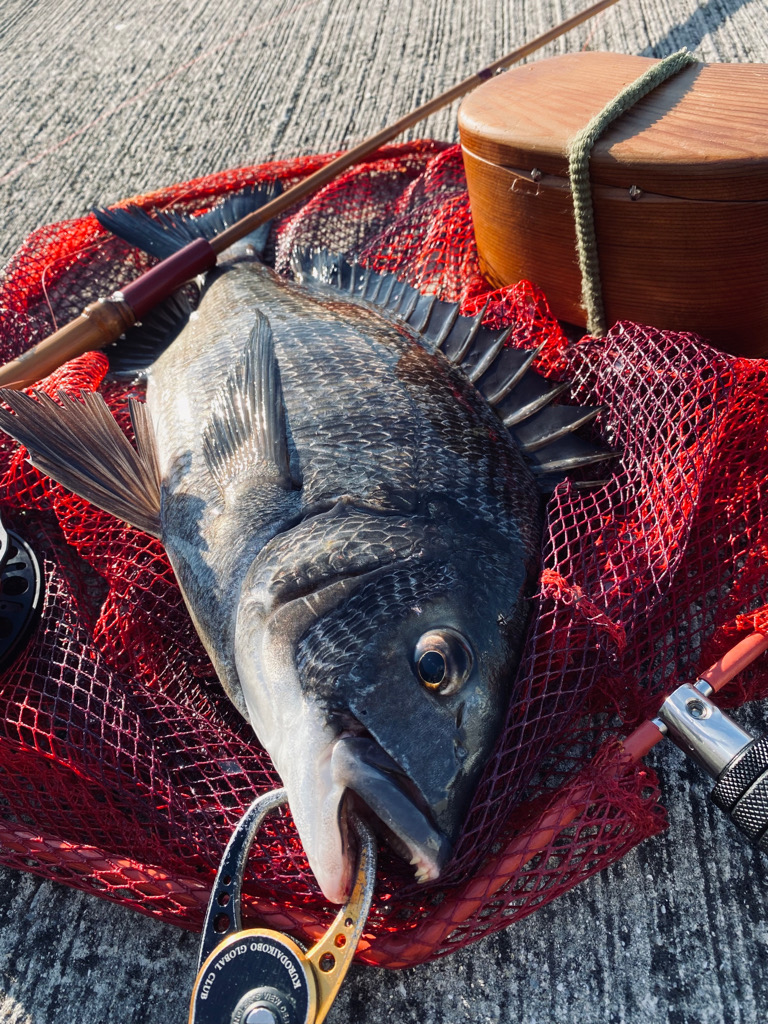 ヘチってきました