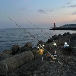 年末、釣り納め、クリスマスカレイ狙い