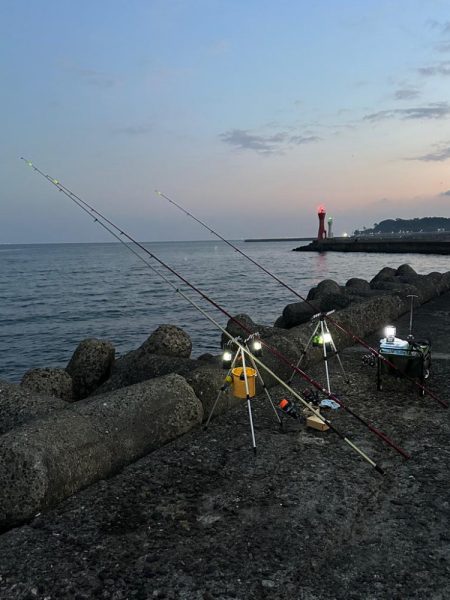 年末、釣り納め、クリスマスカレイ狙い