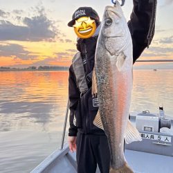 ボートシーバス