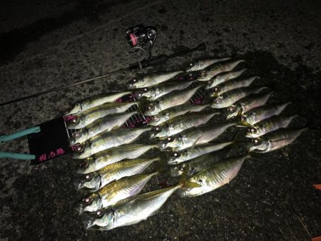 ヘッドライトわすれた！！！！