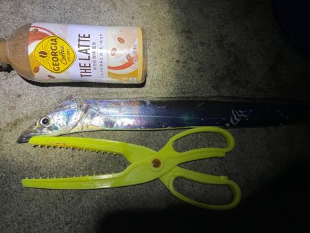 深夜０時からタチウオ釣りに行きました