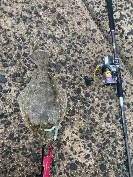 ショアジギング