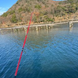 ボートアジング