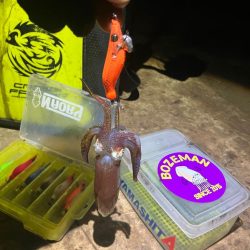 まだまだヒイカ釣れますよ(^.^)