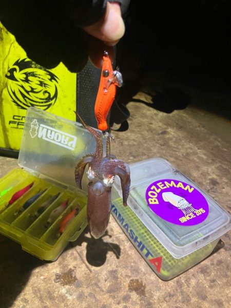 まだまだヒイカ釣れますよ(^.^)