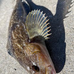 ちょー久々堤防ロック